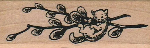 Pussy Willows 1 1/4 x 3 1/2-0