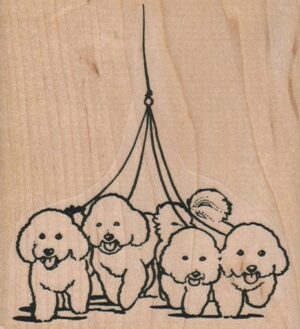 Bichon Quartet Walking 3 1/4 x 3 1/2-0