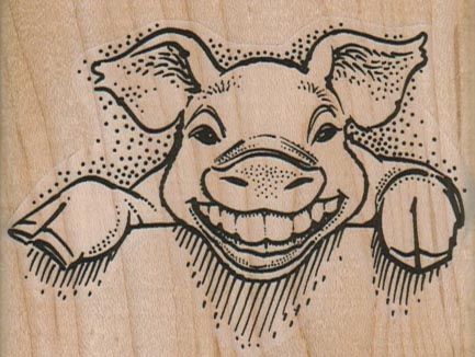 Pig Smiling/Teeth 3 x 2 1/4-0