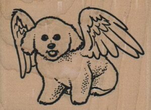 Bichon Angel 2 3/4 x 2-0