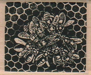 Busy Bees HoneyComb 1 3/4 x 2-0