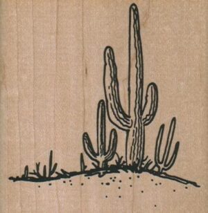 Saguaro Cactus Clump 2 3/4 x 2 3/4-0