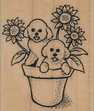 Bichons & Sunflowers 2 3/4 x 3 1/4-0