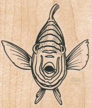 Fish Face On 2 1/4 x 2 1/2-0