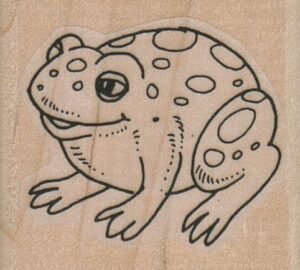 Spotty Frog 1 3/4 x 1 1/2-0