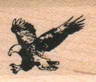 Eagle Flying Left 1 x 1-0
