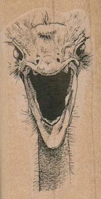 Screaming Ostrich/Small 1 1/2 x 2 3/4-0
