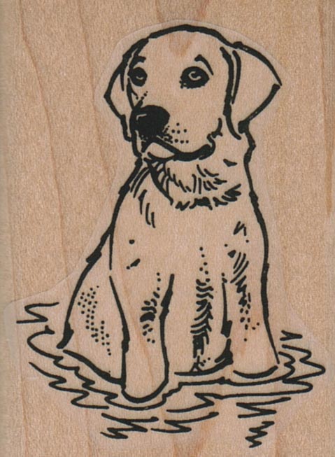 Dog In Water 1 3/4 x 2 1/4-0