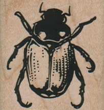Scarab Beetle 1 1/2 x 1 1/2-0
