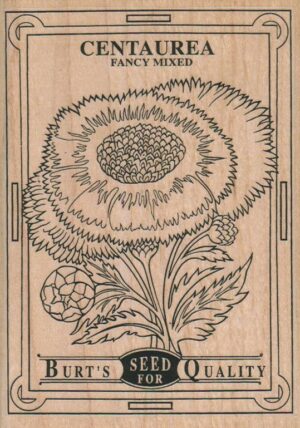 Centaurea Seed Packet 3 3/4 x 5 1/4-0