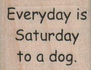 Everyday Is Saturday To A Dog 1 1/4 x 1-0