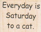 Everyday is Saturday To A Cat 1 1/4 x 1-0