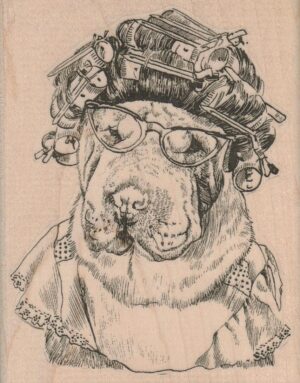 Sharpei Dog In Curlers 3 x 3 3/4-0