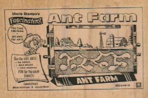 Ant Farm 4 x 2 3/4-0