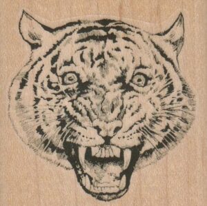 Tiger Face 2 1/4 x 2 1/4-0