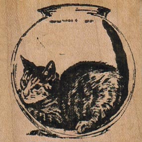 Cat In Fishbowl 2 x 2-0