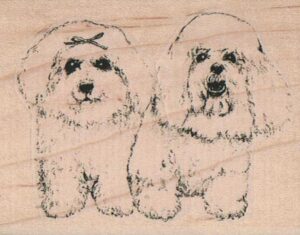 Bichon Buddies 2 1/2 x 3-0