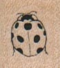 Ladybug/Small 3/4 x 3/4-0