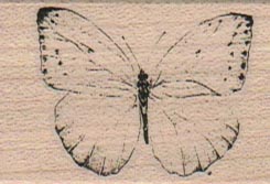 Butterfly Gossamer/Small 1 3/4 x 1 1/4-0