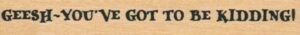 Geesh - You've Got To Be Kidding 3/4 x 4-0