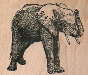 Elephant 2 1/2 x 2 1/2-0