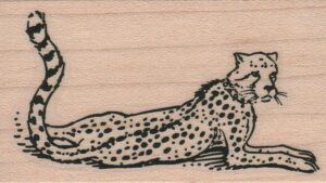 Cheetah 1 3/4 x 2 3/4-0