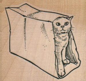 Cat In Bag 2 1/2 x 2 1/4-0