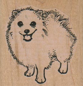 Pomeranian Dog 2 x 2-0