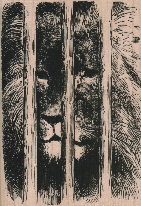 Lion Behind Bars 3 1/2 x 5-0