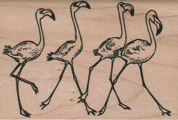Flamingo Quartet Running 3 x 4 1/4-0