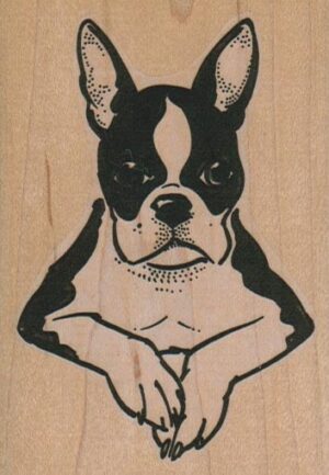 Boston Terrier Paws/Large 2 1/2 x 3 1/2-0