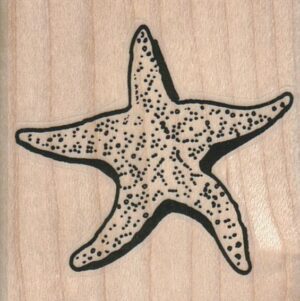 StarFish 2 x 2-0