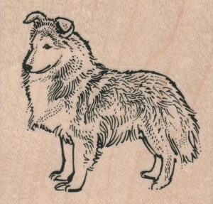 Shetland Sheep Dog 2 3/4 x 2 1/2-0