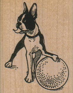 Boston Terrier With Ball 1 3/4 x 2 1/4-0