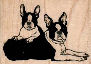 Boston Terrier Pair 3 1/4 x 2 1/4-0