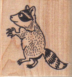 Raccoon Walking Upright 1 3/4 x 1 3/4-0