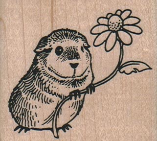 Guinea Pig With Flower 2 1/4 x 2-0