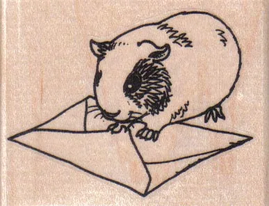 Guinea Pig Sealing Envelope 2 3/4 x 2-0