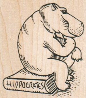 Hippocrates Hippo 2 1/2 x 2 3/4-0