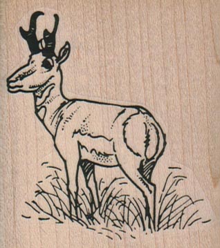Deer In Field 2 1/4 x 2 1/2-0
