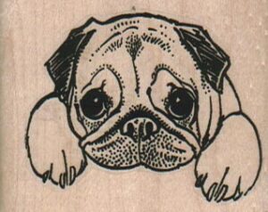 Pensive Pug 2 1/4 x 1 3/4-0