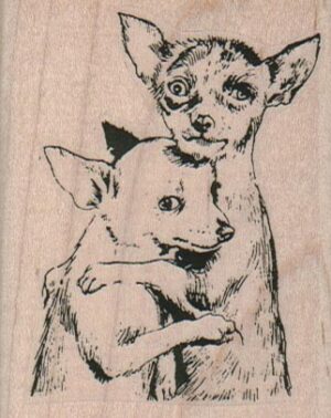 Chihuahuas Comforting 2 1/4 x 2 3/4-0