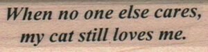 When No One Else Cares/Cat 3/4 x 2 1/2-0