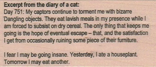 Excerpt From/Day 751 1 3/4 x 3 1/2-0