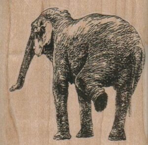 Elephant Lifting Leg 2 1/2 x 2 1/2-0