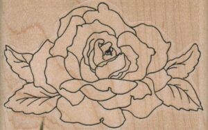 Rose/Large 3 1/4 x 2-0