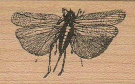 Winged Thingie/Small 1 1/4 x 2-0