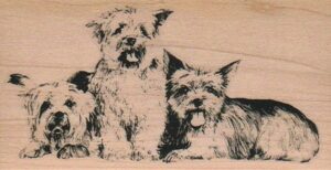 Dog Trio 2 1/4 x 4 1/4-0