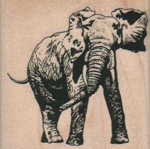 Elephant Side 2 1/2 x 2 1/2-0