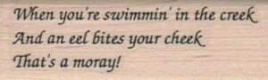 When You're Swimming In 1 x 2 3/4-0